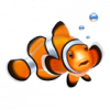Clownfish для Skype